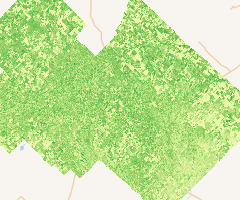 Índice NDVI - Benito Juárez